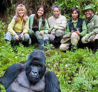 Rwanda Safaris Rwanda Safaris