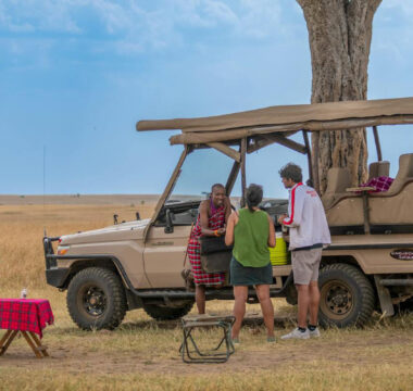 Kenya Safaris Kenya Safaris